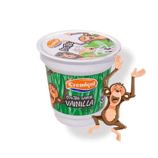 CREMIGAL Postre VAI x 125 