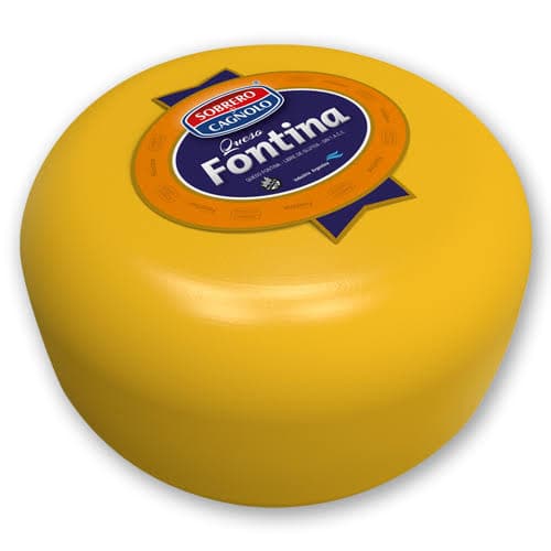 CAGNOLO Fontina