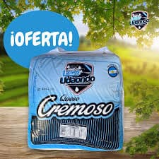 LACTEOS UDAONDO Cremoso